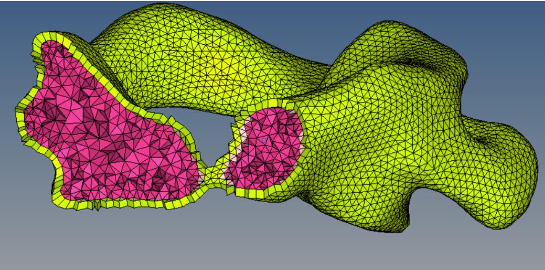 Hypermesh软件多少钱、正版Hypermesh软件、正版Hypermesh软件官网